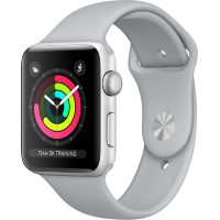 Apple Watch Series 3 (42mm)